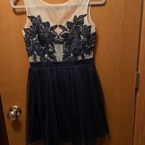 Navy Blue Lace and Mesh Dress
